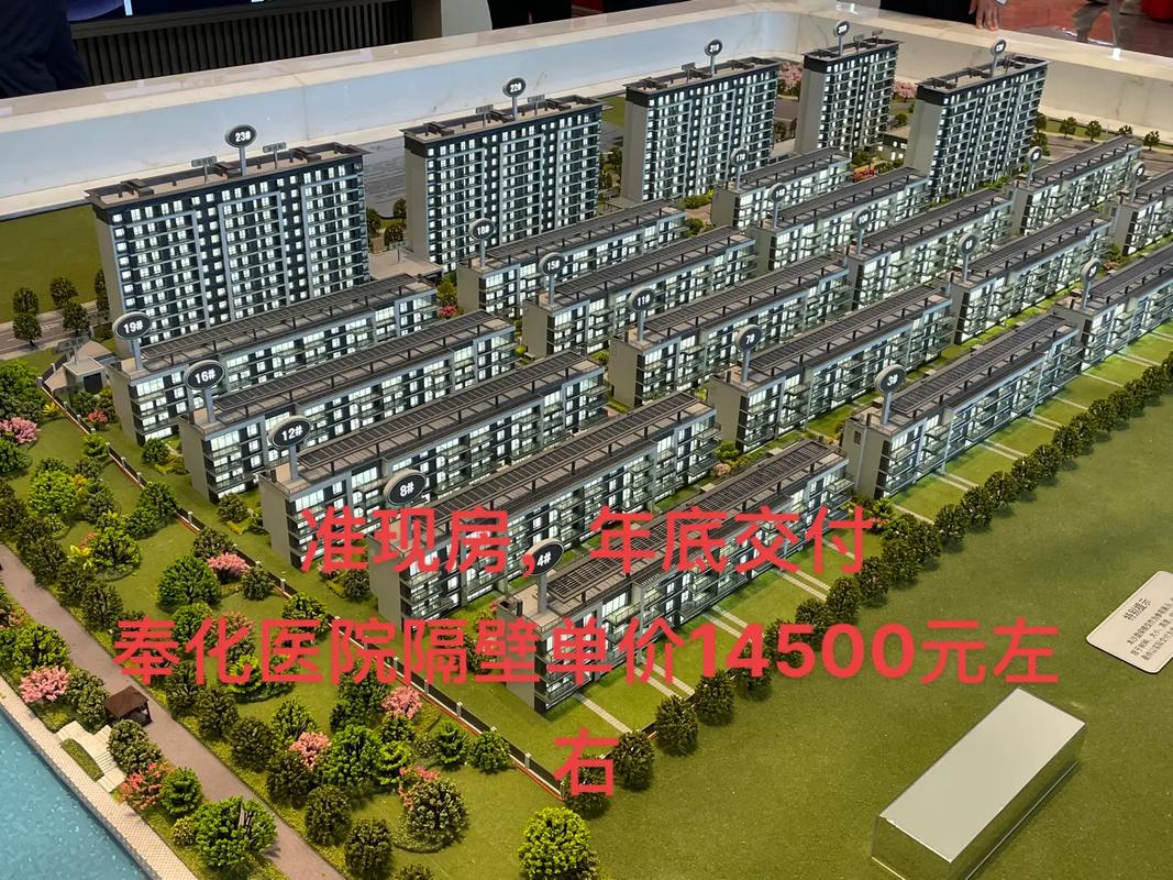宁波博毅房地产信息咨询 抖音记录美好生活，专业服务2022年8月11日